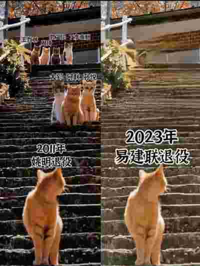 骑士队与热火的对决，谁将笑到最后？